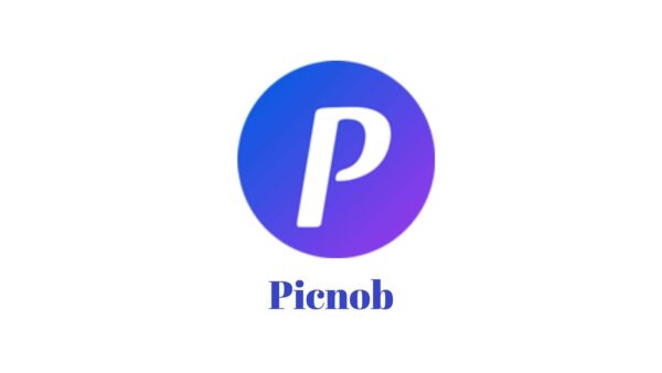 Picnob: A Comprehensive Guide to Leveraging Instagram for Personal and Business Growth