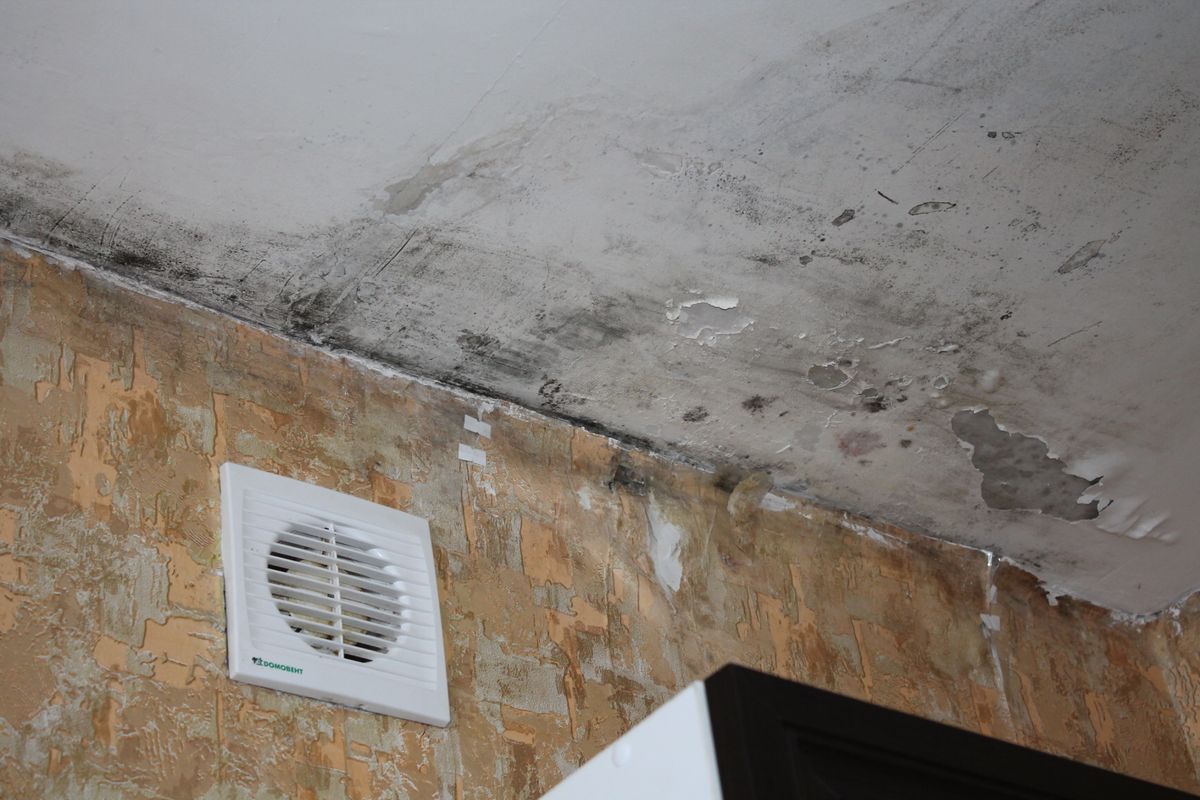 How To Remove Damp Stains From Your Bathroom Ceiling With A Home Remedy