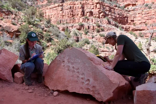These Strange Red Australian Rocks Conceal Fossils Of Impossible Precision