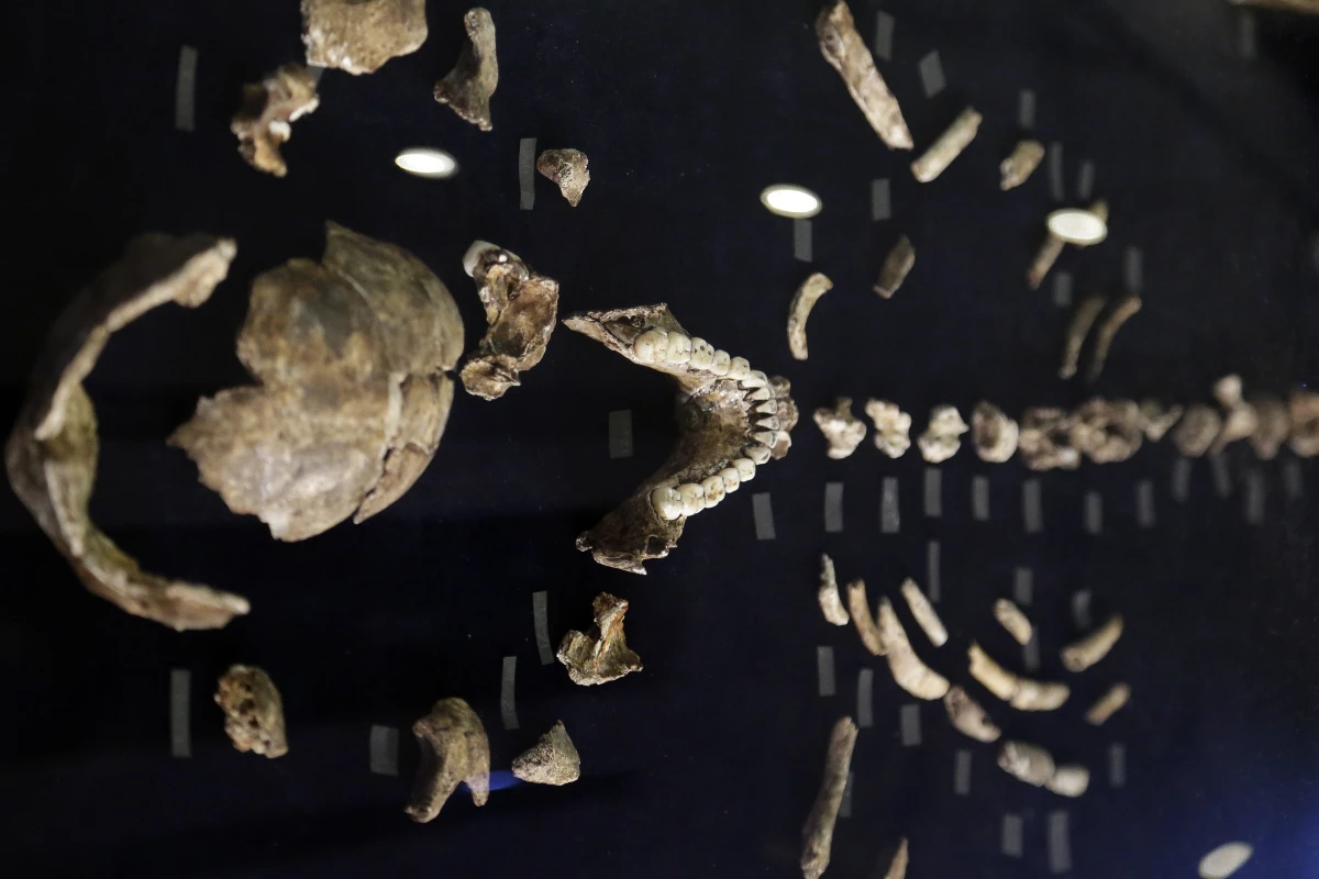 Fossils Found In Kenya Point To The First Tool-Making Hominid