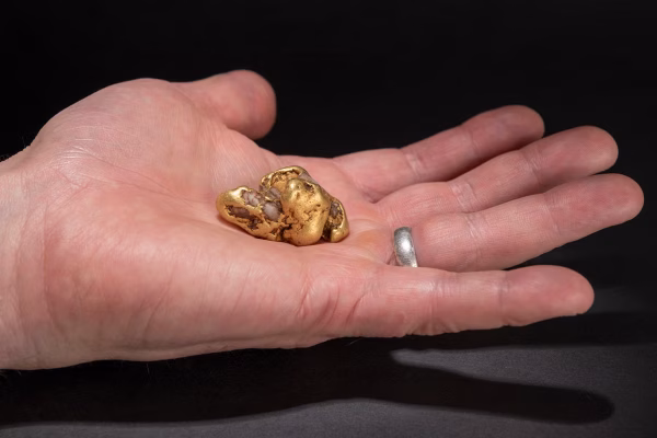 Status: Household Appliance That You Have At Home And That Contains 22-Carat Gold