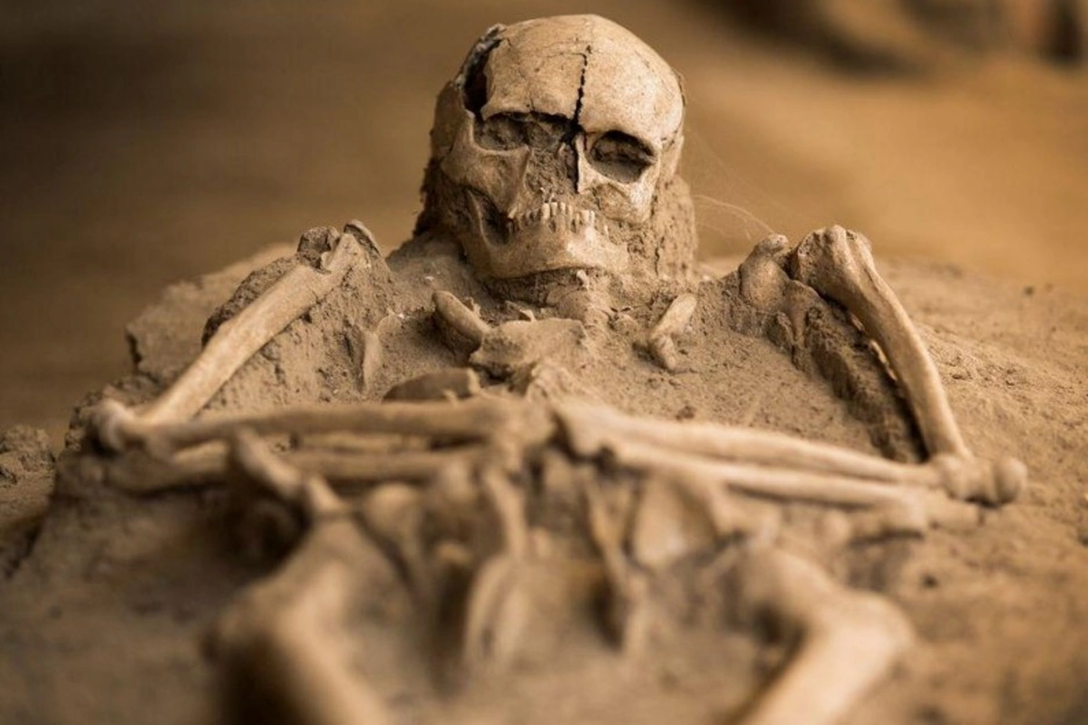 Human Skull Found In Indiana River Is More Than 4,000 Years Old, According To Archaeologists