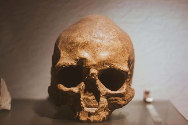 Human Skull Found In Indiana River Is More Than 4,000 Years Old, According To Archaeologists