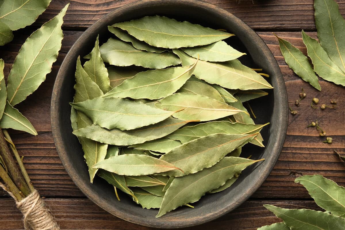 Bay Leaves