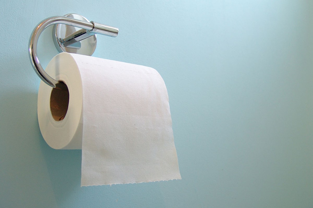 No More Toilet Paper: What If The British Adopted This Innovative Asian Solution?