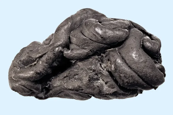 Scientists Decipher Social Practices From 5,000 Years Ago From A Mysterious Object