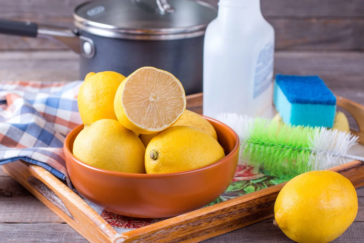 Forget About Cockroaches In The Kitchen: Which Fruit Repels Them And How To Use It