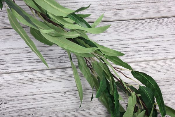 What Is The Purpose Of Hanging A Sprig Of Eucalyptus In Your Shower And How Do You Do It Correctly?