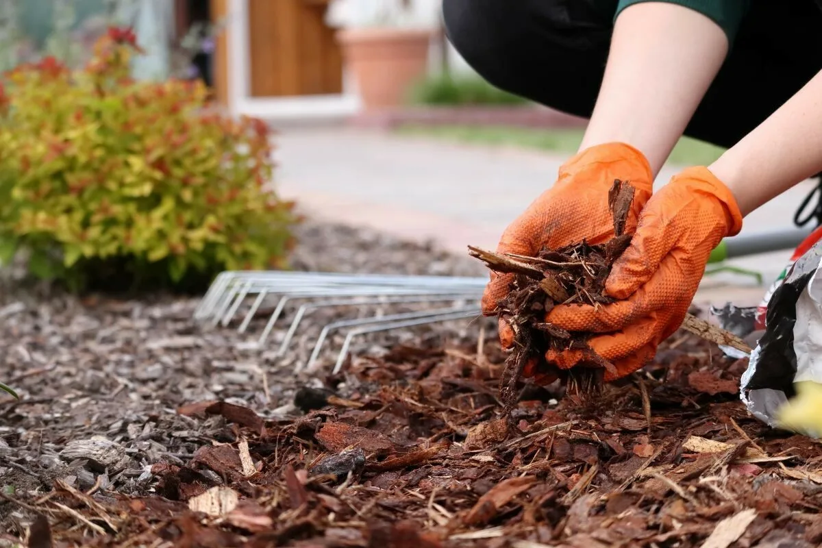 Mineral Mulching