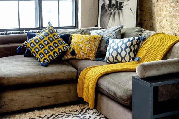 Bedbugs No Longer Sleep Only In Your Bed: Here’S Where They Really Hide!