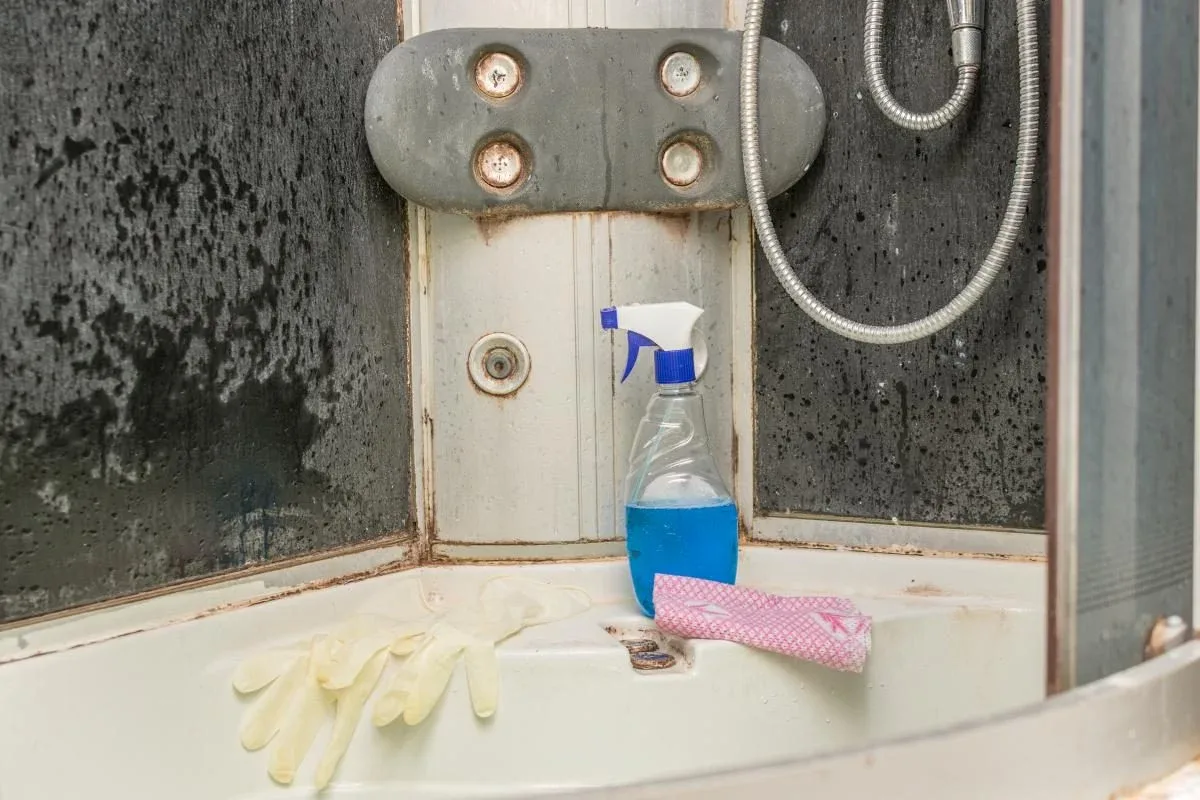 This Chemical-Free Powder Removes Limescale In Just A Few Minutes