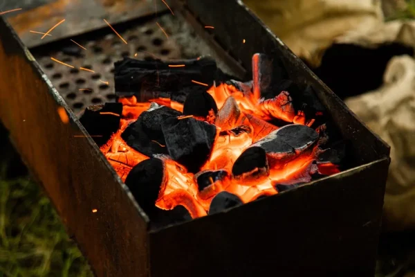 Throwing Bay Leaves On The Barbecue Coals: Why It Is Recommended