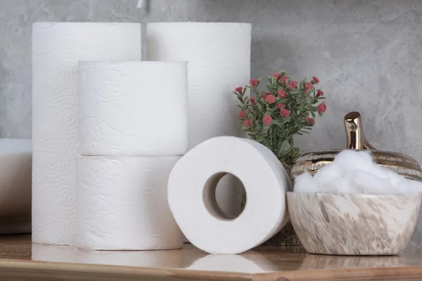 No More Toilet Paper: What If The British Adopted This Innovative Asian Solution?
