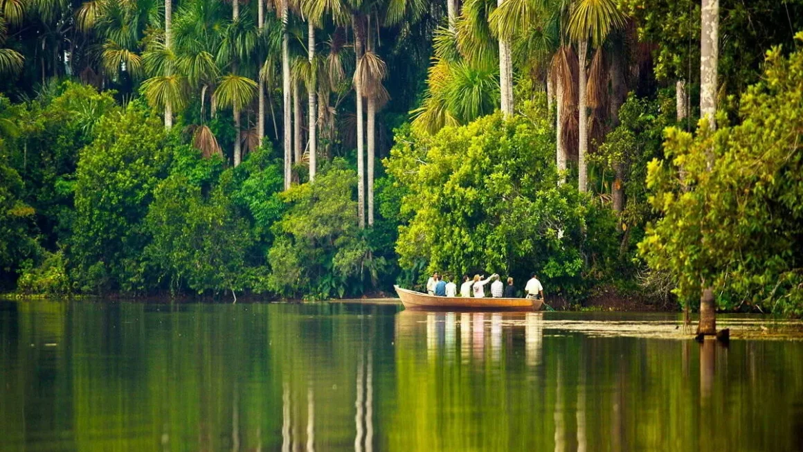 Peruvian Jungle