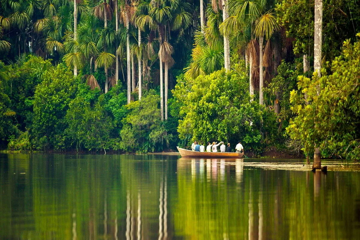 Peruvian Jungle