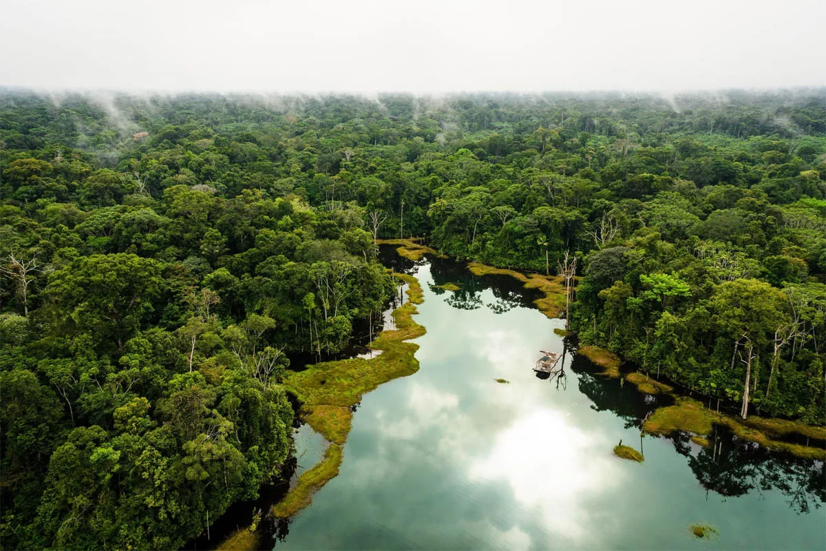 Commotion In The Scientific Community Over The Discovery Of 27 New Species In The Peruvian Jungle