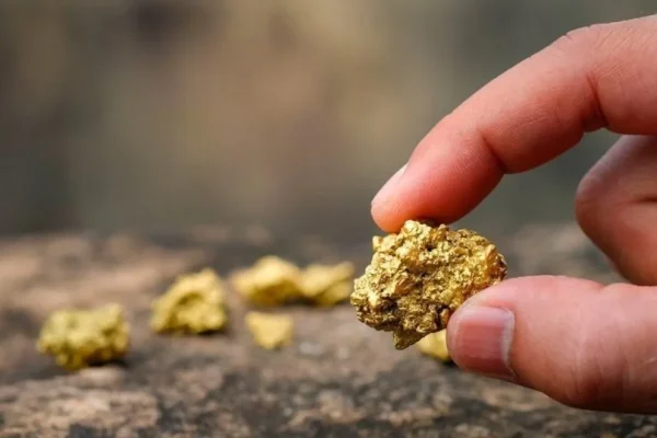 The End Of Poverty? A Plant That Produces Pure Gold And Can Be Grown In Every Home Has Been Discovered
