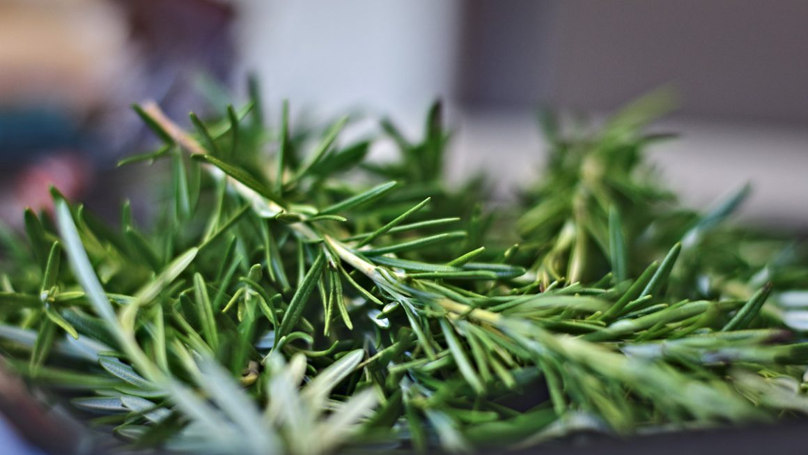Rosemary