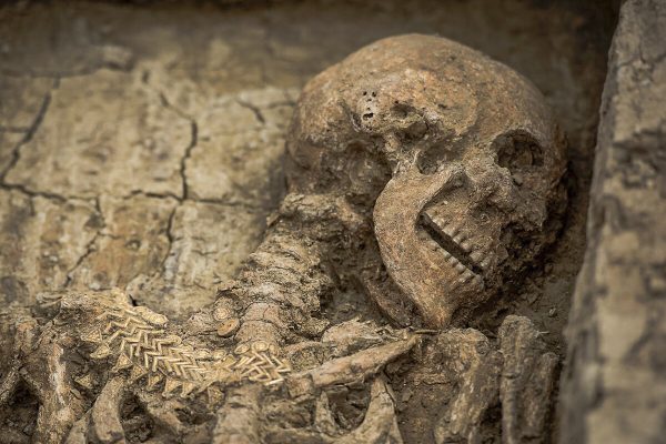 The Remains Of Seven Roman Soldiers In A Well Reveal That They Were Possible Victims Of The Bloody Battle Of Mursa