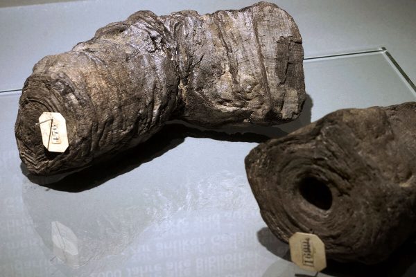 Herculaneum: 2,000-Year-Old Papyri Finally Deciphered Thanks To Technology