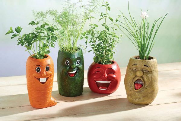 Use Pizza Boxes And Deodorant Caps To Create These Beautiful Plant Pots To Give As Gifts